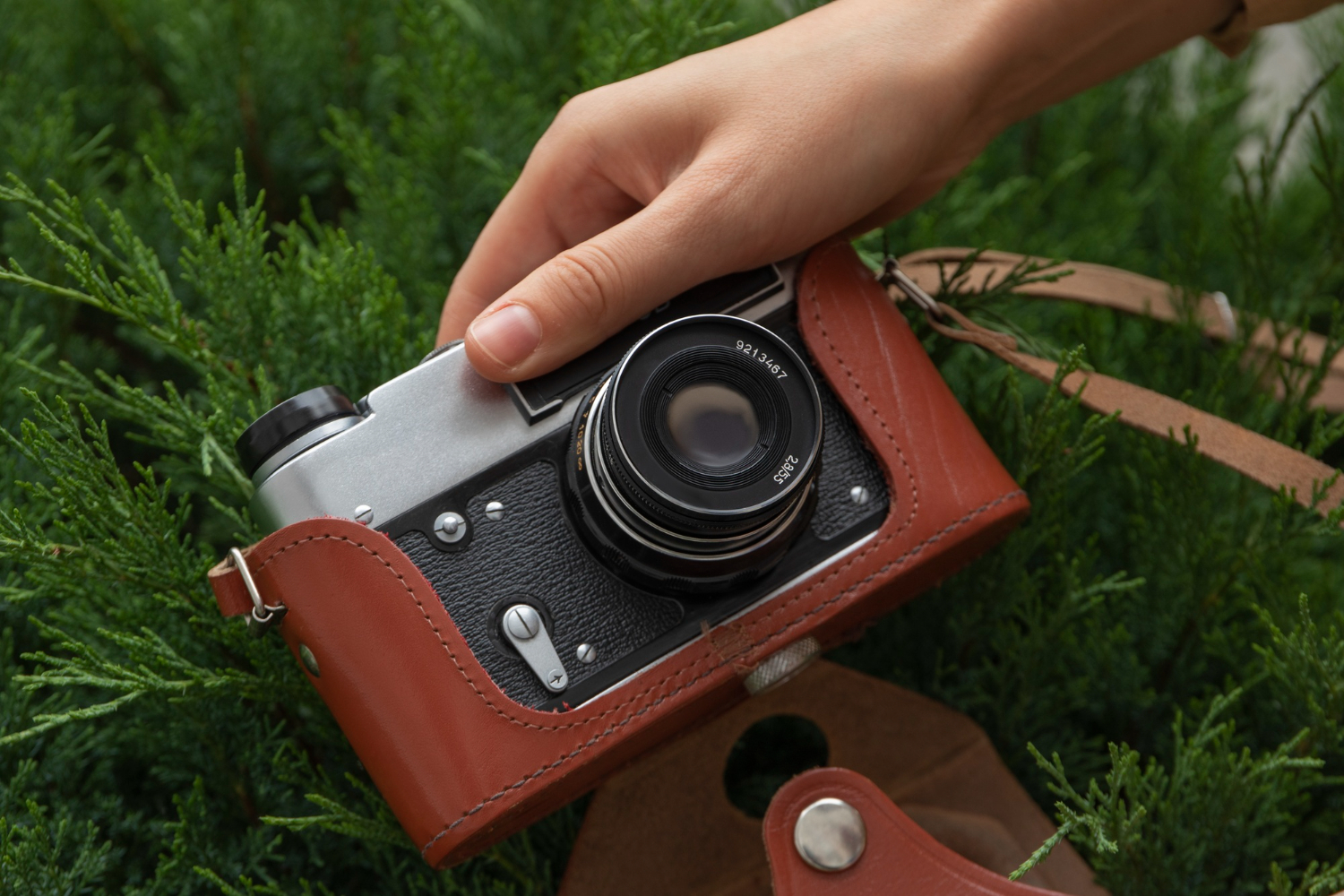 กล้อง Mirrorless